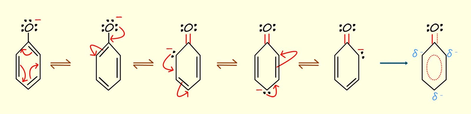 resonance stabilised hybrids for the phenoxide ion